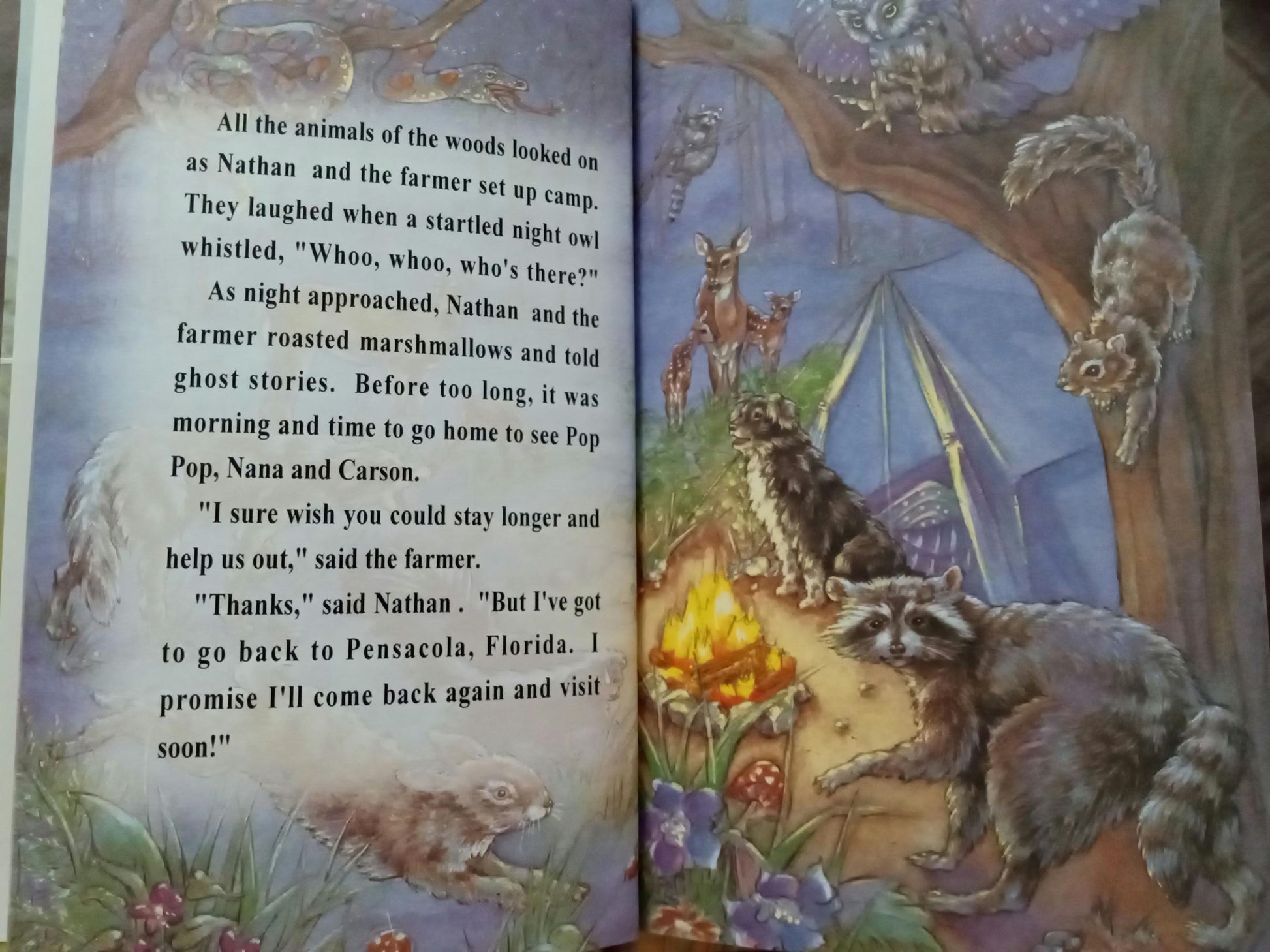 Personalized Farm Animals sample page 8 wood  wildlife animals