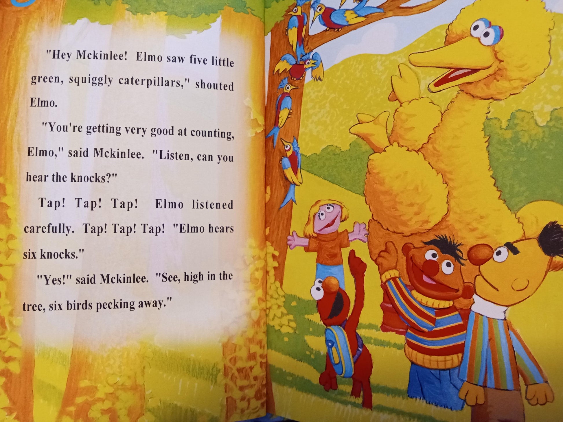 Illustrated personalized book page with characters from Sesame Street and personalized text.
