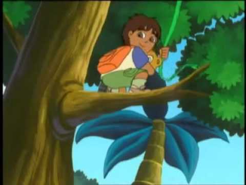 Dora, Diego and Me™  Photo Personalized Cartoon Video DVD - Your child the star!