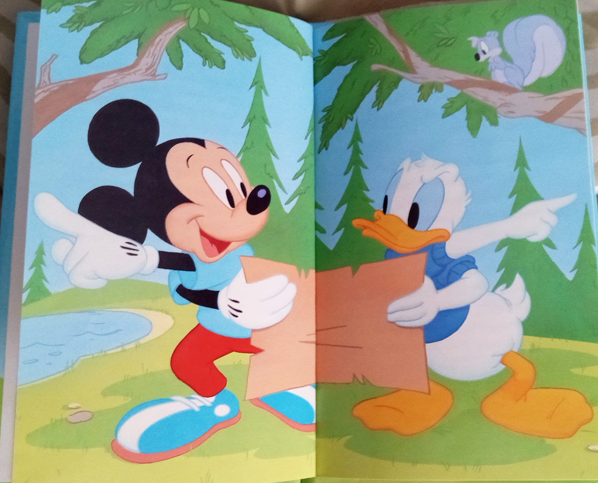 Colorful personalized book with Mickey and Donald Duck in a Treasure Hunt - The Lollipop Guild